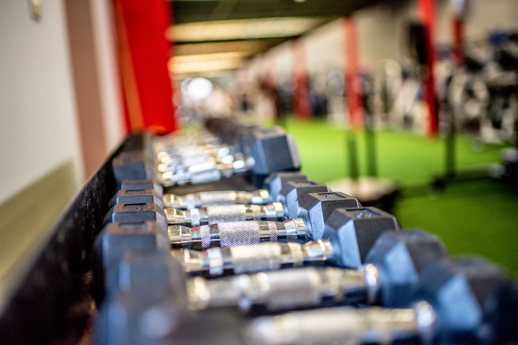 Healthplex Fitness Clifton Park NY Free Weights and Strength